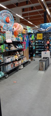 DecathlonMataro_sept24 (6)